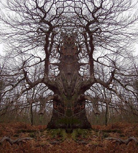 Treehouse of Horror!