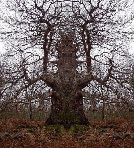 Treehouse of Horror!