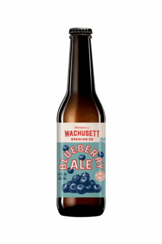 Wachusett Blueberry Ale - 6 Pack