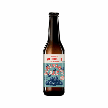Wachusett Blueberry Ale - 6 Pack
