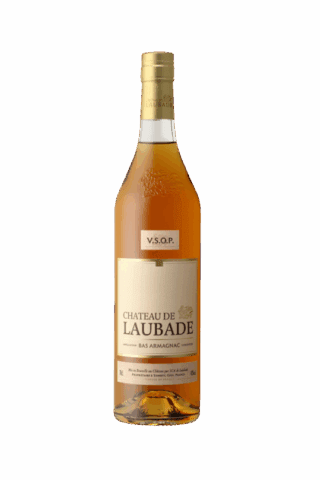 Ch Laubade Bas Armagnac Vsop - 750ml