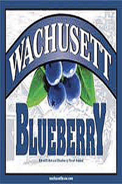 Wachusett Blueberry Ale - 12 pack