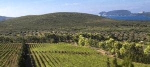 Santa Maria La Palma Photo