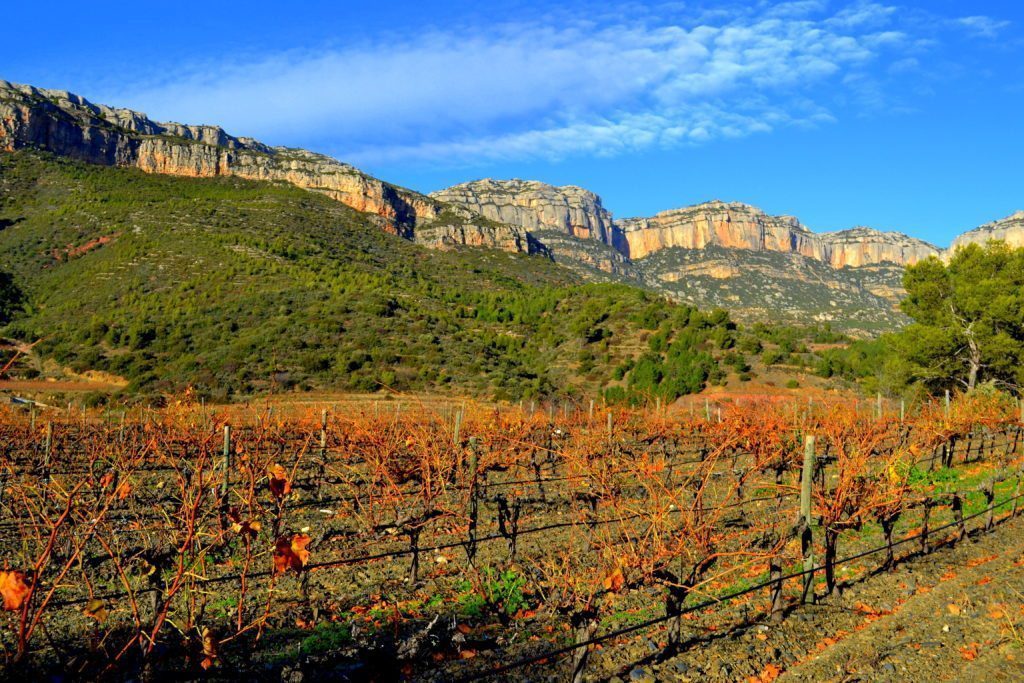 Spanish Wines: Serra del Montsant